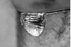 Macro di un inserto con una grossa rottura meccanica del tagliente